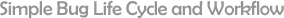 Simple Bug Life Cycle and Workflow